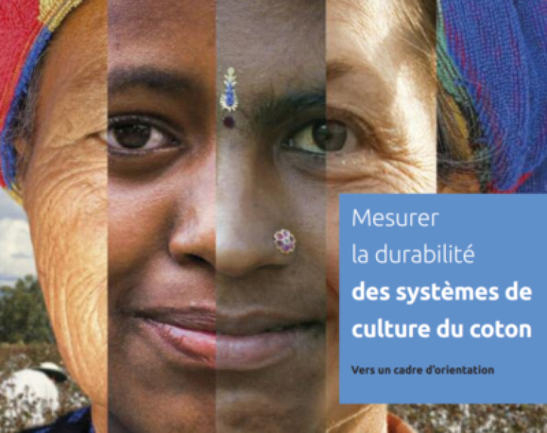 Mesurer la durabilité des systèmes de culture du coton